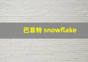 巴菲特 snowflake